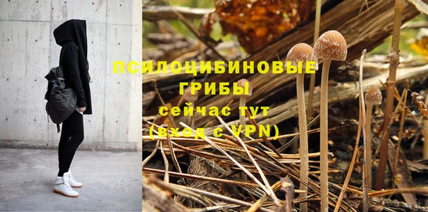 a pvp Белоозёрский