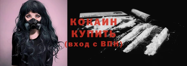 дживик Богородицк