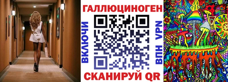 Псилоцибиновые грибы Psilocybine cubensis Чкаловск