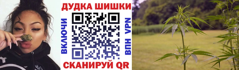 Купить закладки  Чкаловск  Марихуана индика 